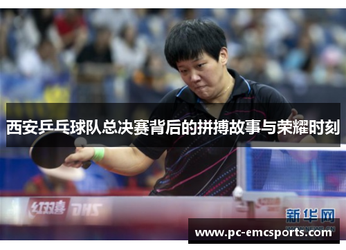 西安乒乓球队总决赛背后的拼搏故事与荣耀时刻
